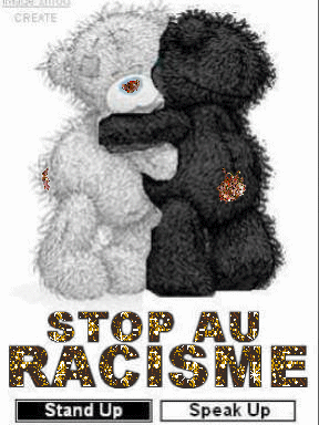 Racisme(3 questionnaire)
